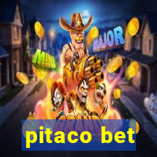 pitaco bet